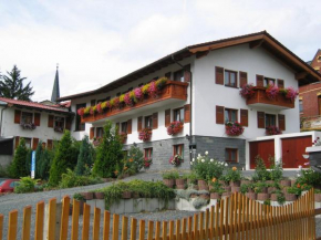 Landhotel Gasthof Zwota Klingenthal